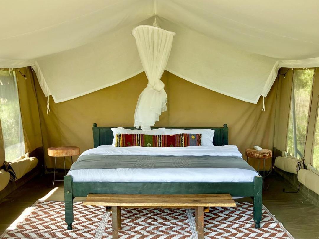 Kambu Mara Camp Hotel Sekenani Værelse billede